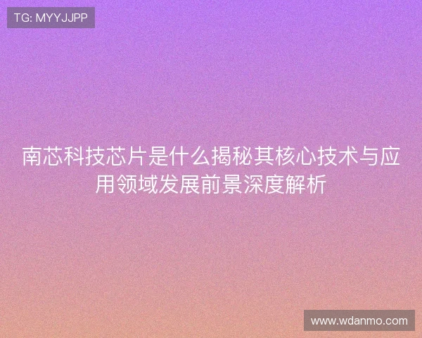南芯科技芯片是什么揭秘其核心技术与应用领域发展前景深度解析 南芯科技芯片是什么揭秘其核心技术与应用领域发展前景深度解析